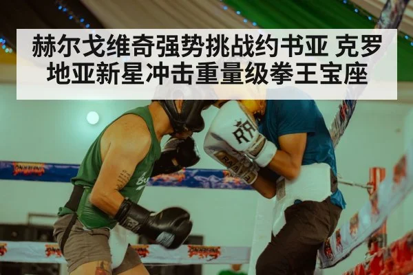 赫尔戈维奇强势挑战约书亚 克罗地亚新星冲击重量级拳王宝座