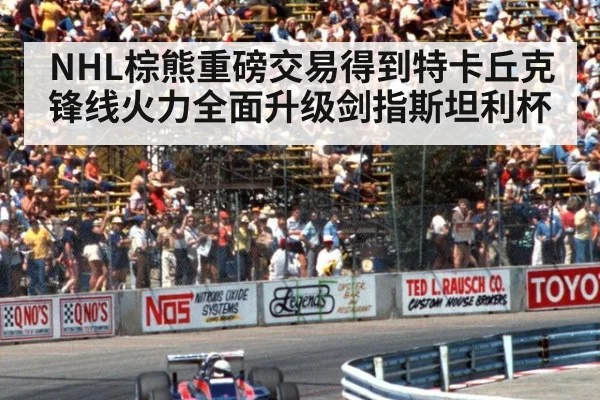 NHL棕熊重磅交易得到特卡丘克 锋线火力全面升级剑指斯坦利杯